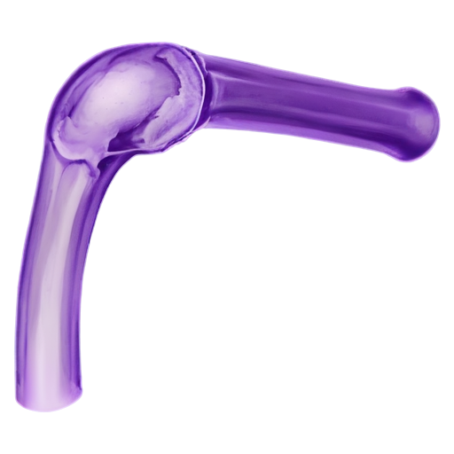 the humerus, drawn diagonally, purple, with a black outline. - icon | sticker