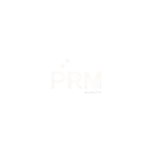 software, high performance, socket client , use PRM as logo - icon | sticker