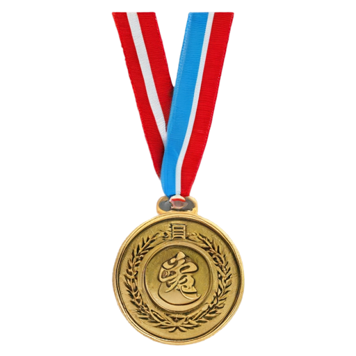 medal for the first place in Wushu - icon | sticker