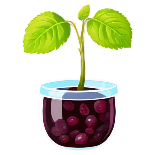 Compote made from the chewy fruits of the chav tree with yam herbs. - icon | sticker