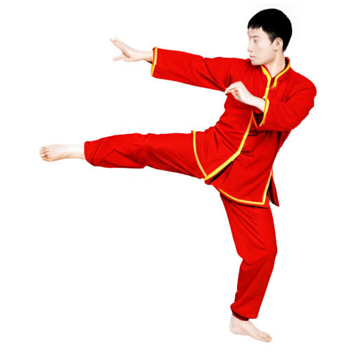 wushu position - icon | sticker